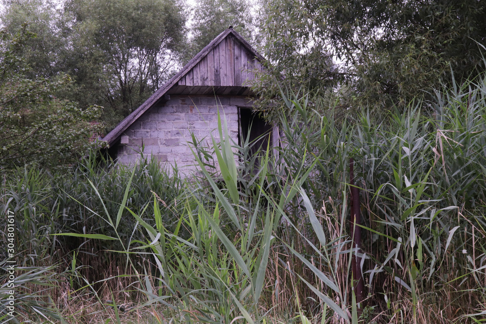 Hut