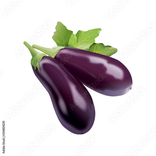 Eggplants. Two ripe aubergines with leaves isolated on a white background. Realistic style. Vector