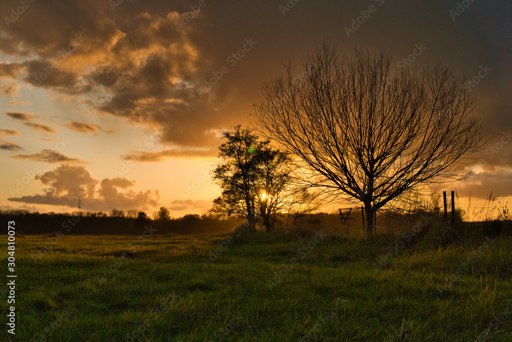 Wiese im Herbst