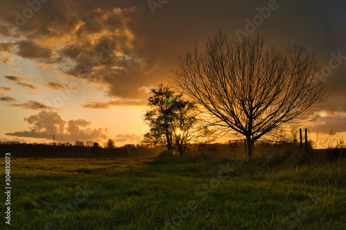 Wiese im Herbst