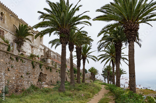 Ruins of Kasbah in Tetouan (Northern Morocco). In Morocco kasbah frequently refers to multiple buildings in a keep, a citadel, or several structures behind a defensive wall.