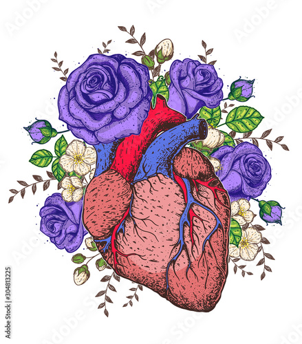 Heart and rose flower hand drawn. Vintage vector illustration. Anatomical heart. Isolated colorful heart illustration.