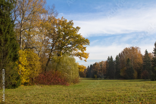Trees with colorful leaves in Pavlovsk park