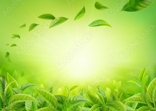 3d realistic vector horizontal banner, nature, tea plantation, green tea garden background with flying leaves  for your design, ads