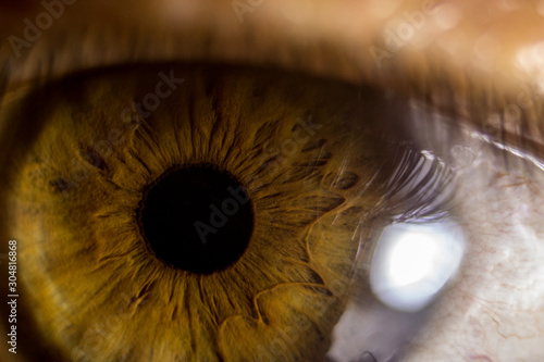 Brown Eye