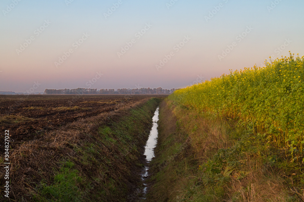 Agricultural landscape in autumn with Rapeseed, a ditch and fallow arable land