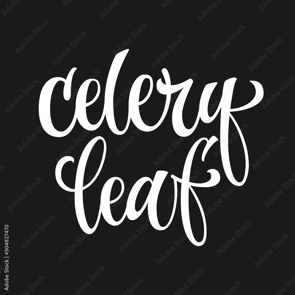 White colored hand drawn spice label - Celery leaf. Isolated calligraphy script style word. Vector lettering design element.