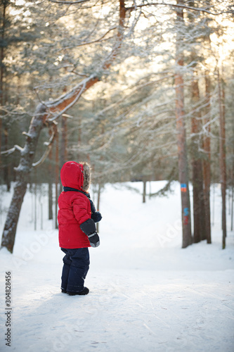 Adorable little toddler boy walking in the winter forest and having fun with snow. Child enjoying winter. Winter, Christmas and lifestyle concept.