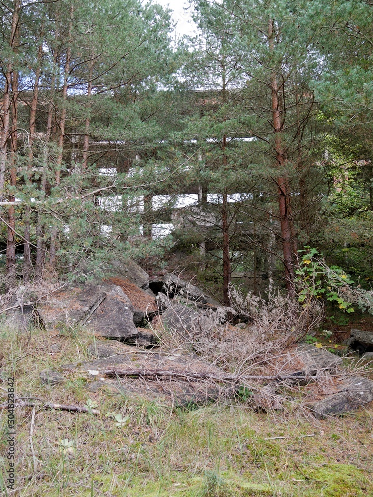 Verwildertes Prora Verwildertes Prora