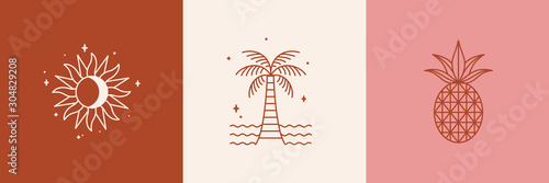 Vector logo design template with palm tree and sun