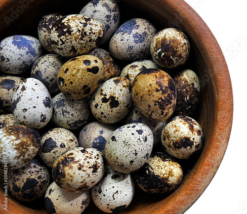 quail eggs photo