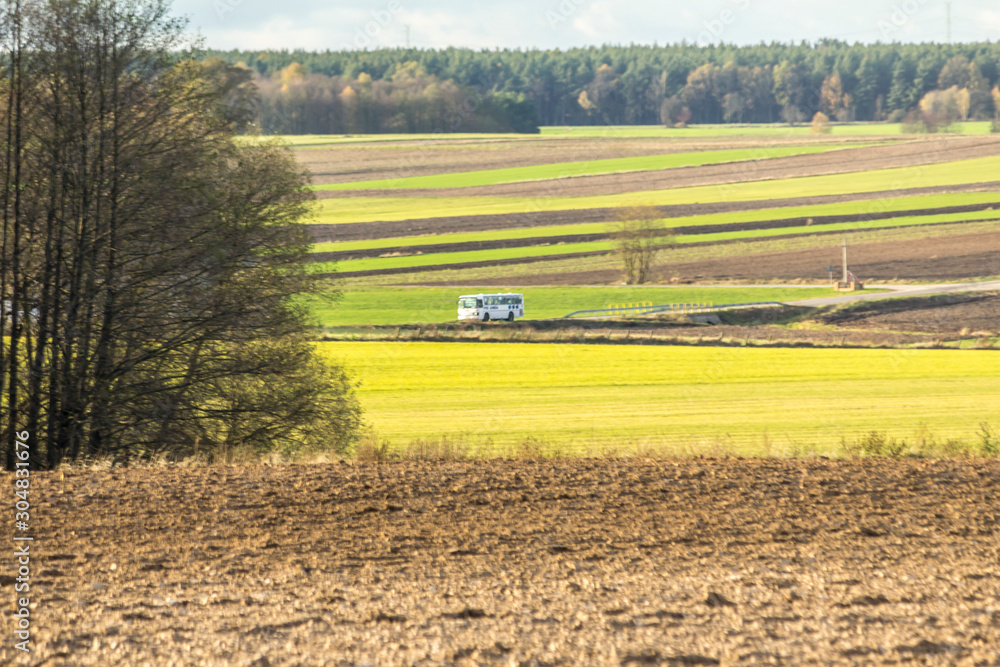Late autumn. Brown arable land and yellow field.  Forest and fields separated by boundary furrows in the background . Dairy farm . Podlasie, Poland.