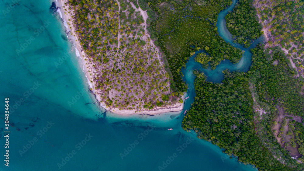 mangroove swamp at Kanga beach, mafia island