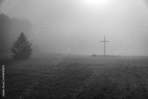 foggy fiels