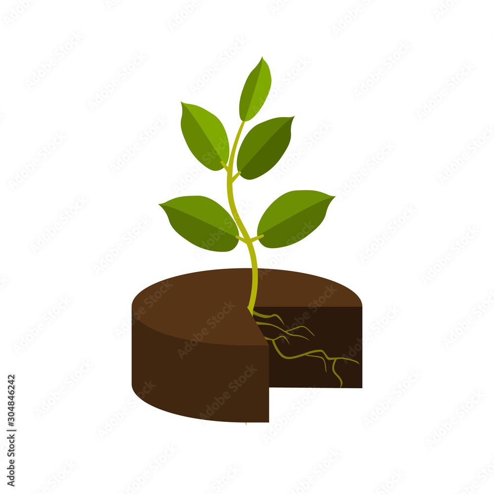 Young plant with roots in a ground on a white background Stock Vector ...