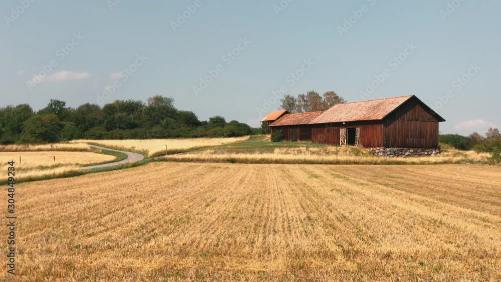 Panoramic View of a Swedish Red Farm House and golden Fields on Birka Island - Bjorko Panoramic View of a Swedish Red Farm House and golden Fields on Birka Island - Bjorko
