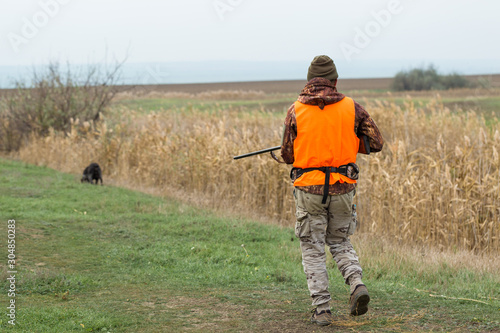 Hunting period, autumn season open. A hunter with a gun in his hands in hunting clothes in the autumn forest in search of a trophy. A man stands with weapons and hunting dogs tracking down the game...