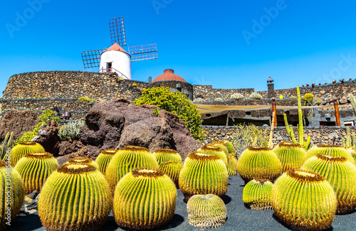 Travel concept. Amazing view of tropical cactus garden (Jardin de Cactus) in Guatiza village. Location: Lanzarote, Canary Islands, Spain. Artistic picture. Beauty world. photo