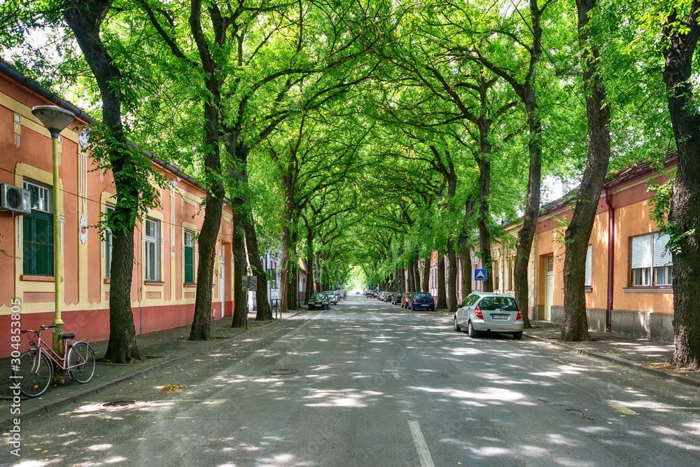 Kikinda, Serbia - July 26, 2019: General Drapsin Street in Kikinda, Serbia, one of the 50 most beautiful streets in the world with trees and flowers
