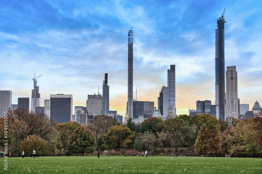 Central Park with a view of trees and skyscrapers in the background Central Park with a view of trees and skyscrapers in the background