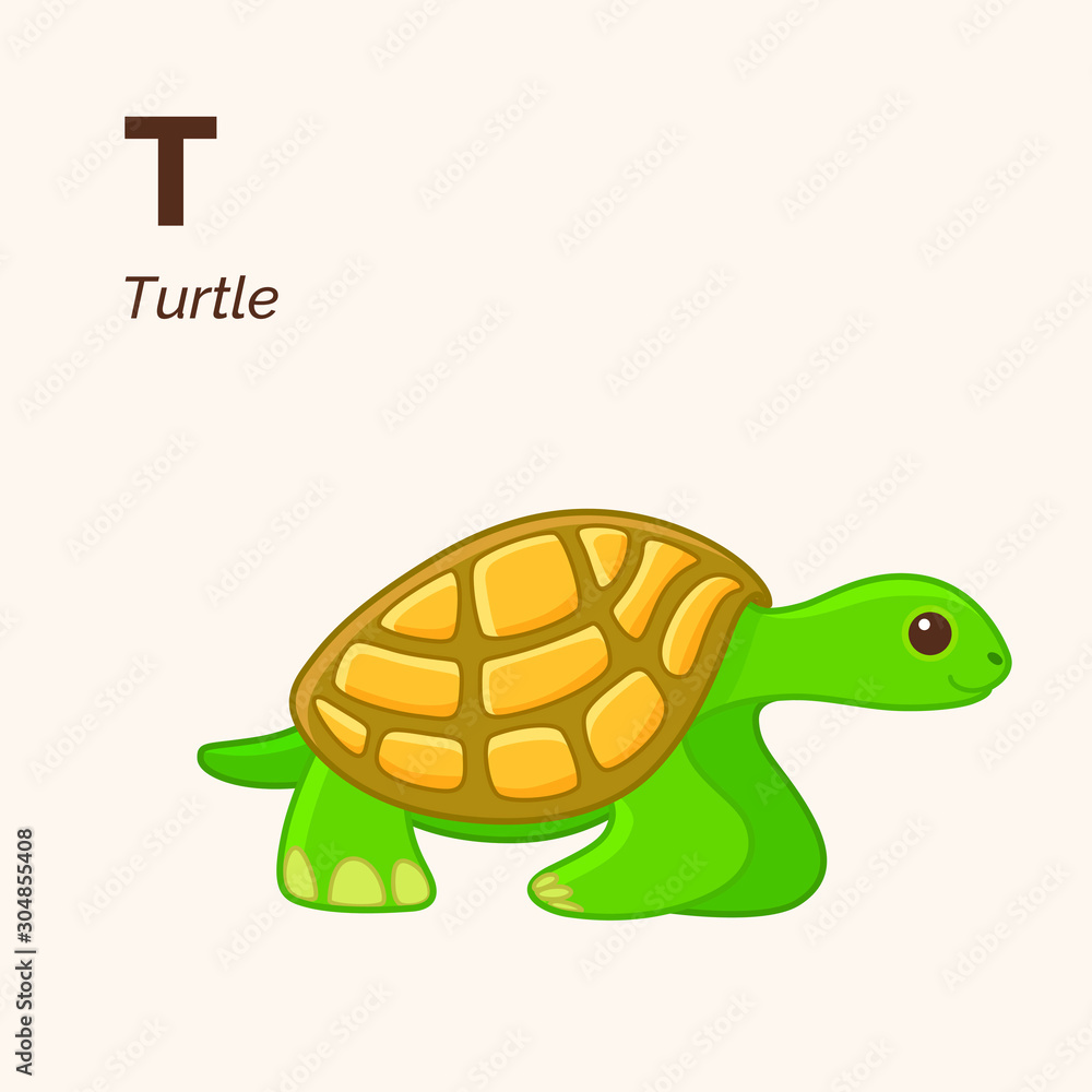 Obraz premium Cartoon turtle, cute character for children. Vector illustration in cartoon style. Animal alphabet.