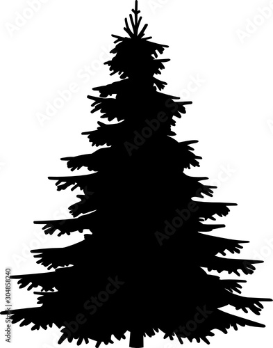 Tanne Silhouette