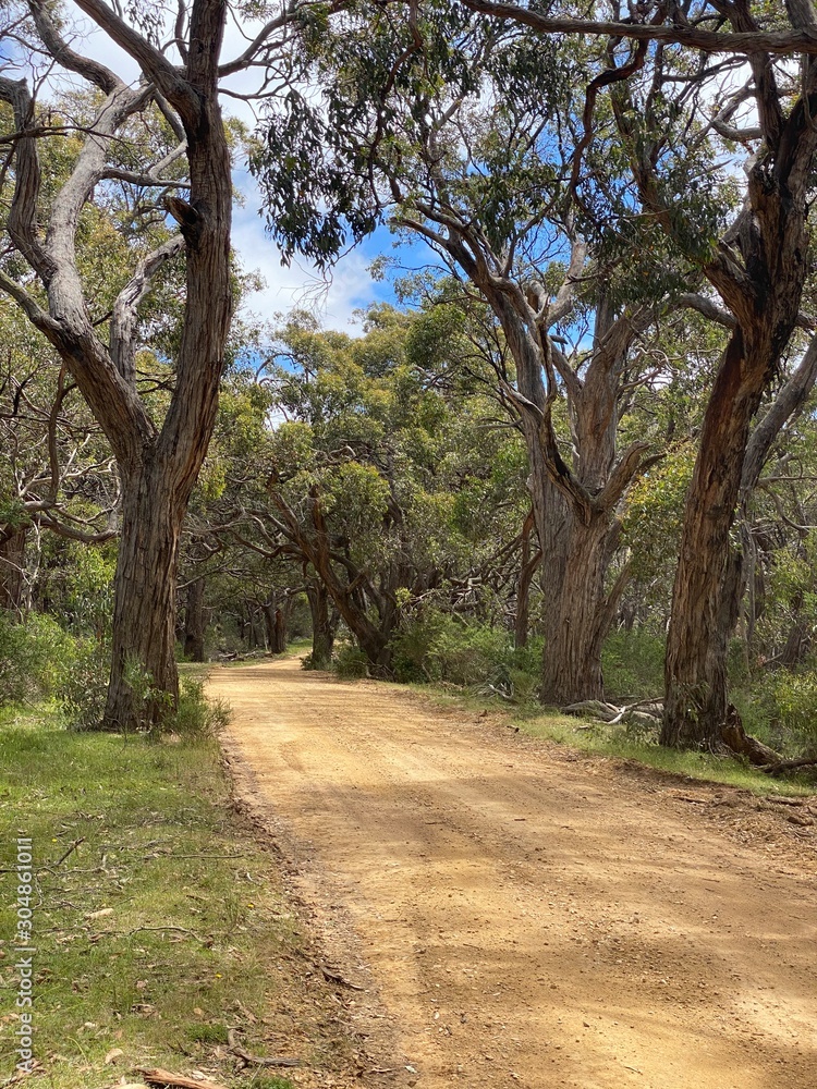 Fototapeta premium Deep Creek Conservation Park