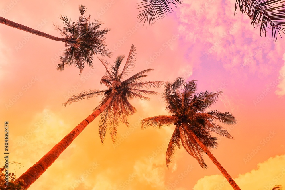 Palm trees against a blue and cloudy sky