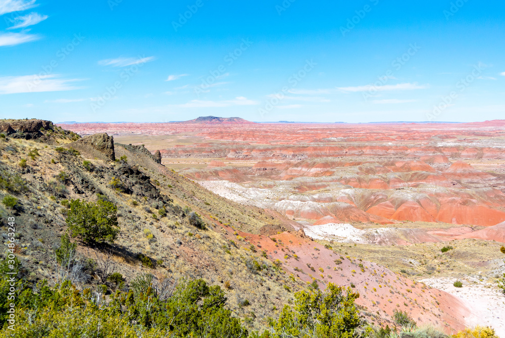Petrified forest national park, Arizona, USA, united states of America/October 11 2019:  Panoramic view of landscape
