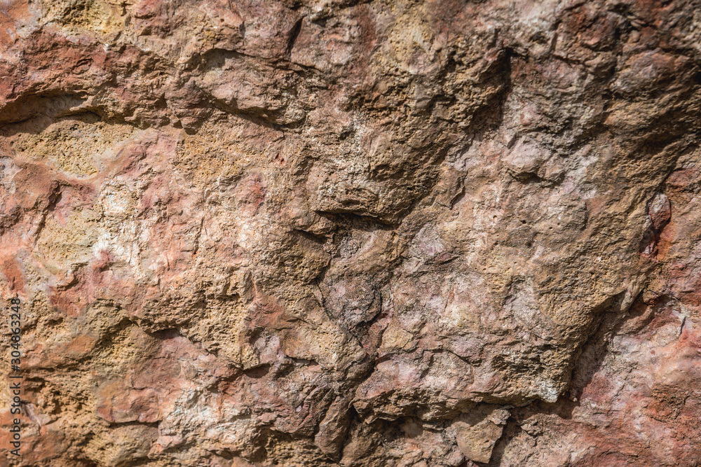 Details of texture of Paleozoic limestone rock in Poland Details of texture of Paleozoic limestone rock in Poland
