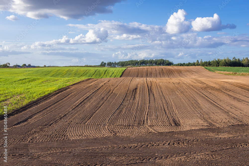 Plowed field in rural area of Nowe Miasto County in Poland Plowed field in rural area of Nowe Miasto County in Poland