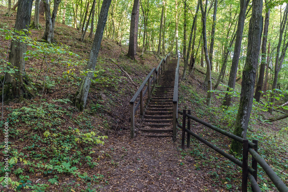 Stair on a trial in Piekielko natural reserve, part of Welski Landscape Park in Poland Stair on a trial in Piekielko natural reserve, part of Welski Landscape Park in Poland