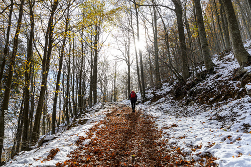 Winter's arrival in the Montseny natural park (Catalonia,Spain) © MiguelAngel