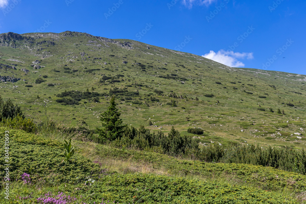 landscape of Belmeken Peak, Rila mountain, Bulgaria