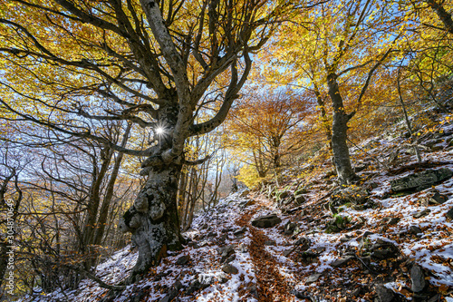Winter's arrival in the Montseny natural park (Catalonia,Spain)