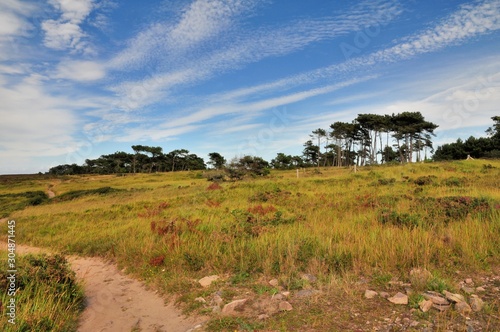 Sentier GR34 de la côte à Erquy en Bretagne. France