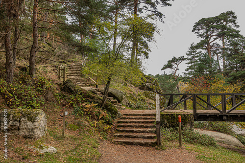 Stairs and wooden bridge in the pine forest of Balsain. Province of Segovia Castilla and Leon. Spain.