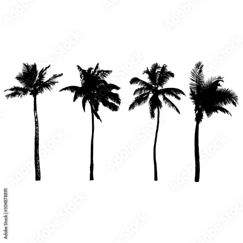 Set of palm tree silhouettes  vector illustration.