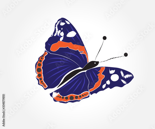 Butterfly blue close up insect logo vector image