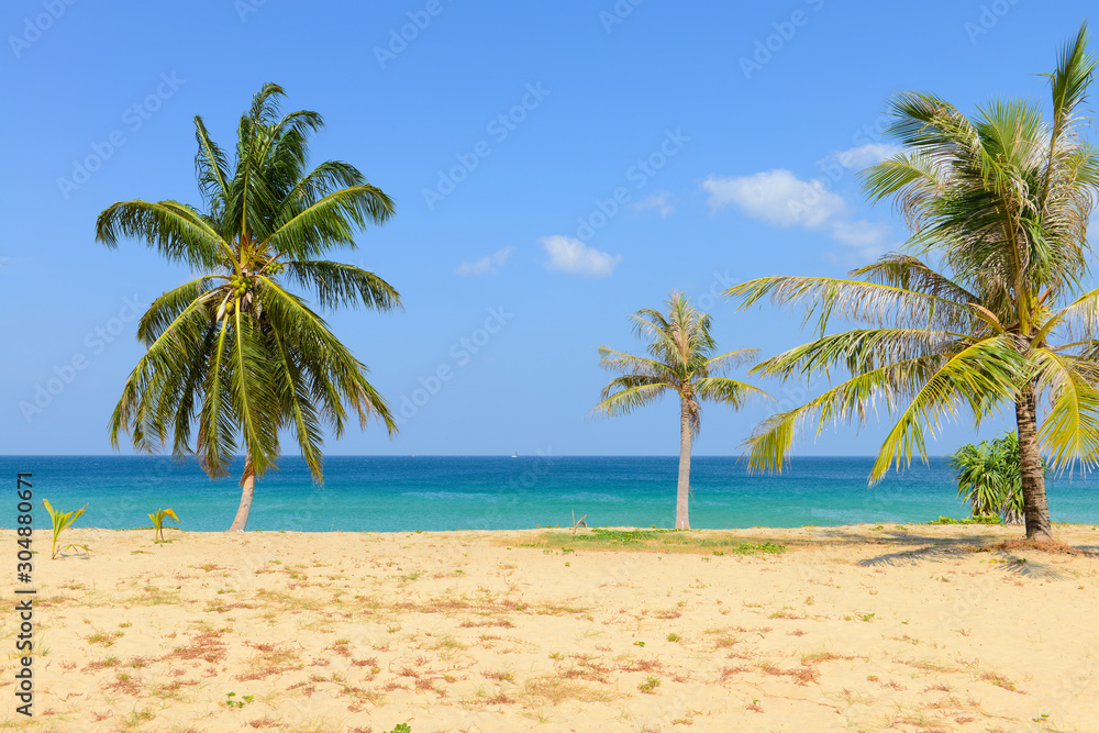 Tropical Beach with Coconut Palm Trees and blue sky
