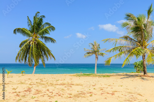 Tropical Beach with Coconut Palm Trees and blue sky © opasstudio