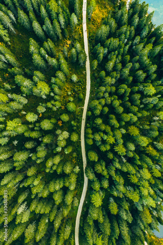 Aerial view of green summer forest with a road. Captured from above with a drone