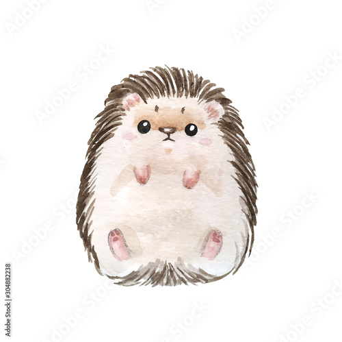 Tablou canvas Set of hedgehogs