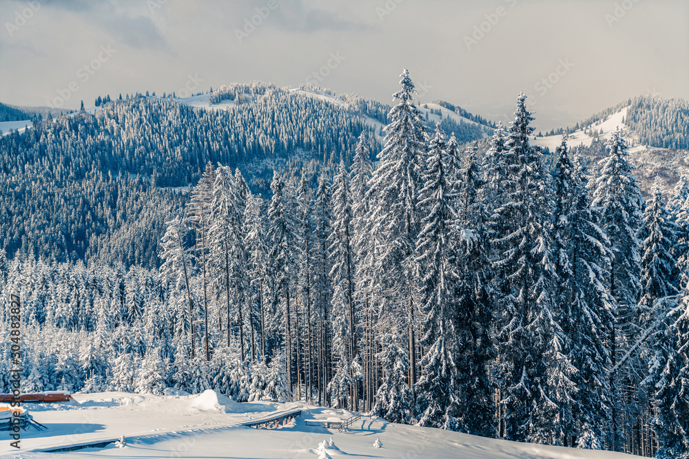 Beautiful view at winter mountains landscape with fir trees covered by snow. Vivid white spruces on a snowy day.  Alpine ski resort. Winter greeting card. Happy New Year