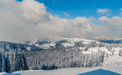 Beautiful view at winter mountains landscape with fir trees covered by snow. Vivid white spruces on a snowy day. Alpine ski resort. Winter greeting card. Happy New Year