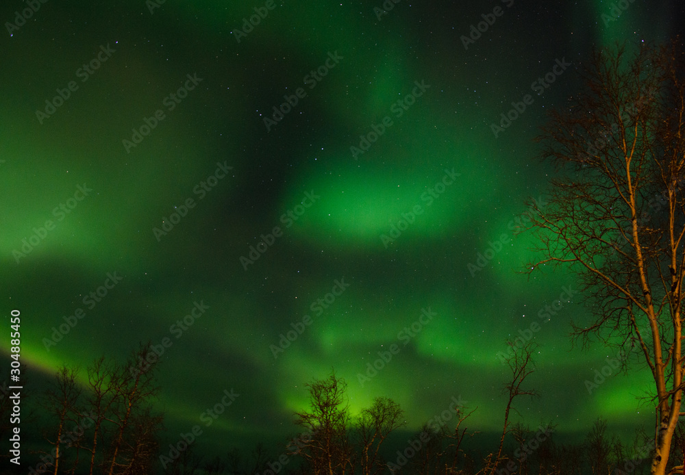 Fototapeta premium green northern lights aurora borealis in night sky