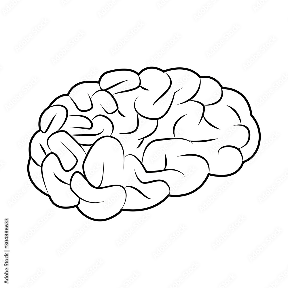 human brain icon, flat design human brain icon, flat design