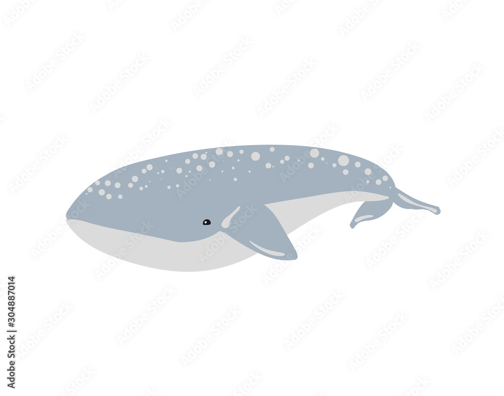Vector illustration of whale. Vector illustration of whale.