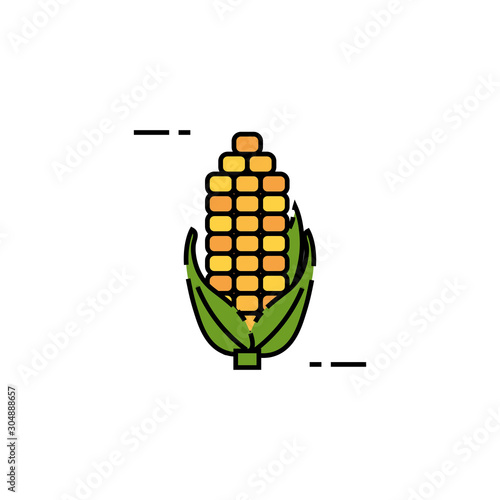 Isolated corn icon fill design