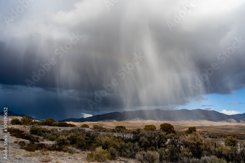 Fototapeta Naklejka Na Ścianę i Meble -  Desert Rain